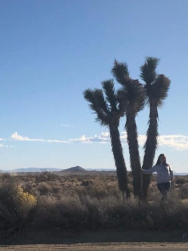 Wishbones Ostrich Farm — Premium Ostrich Products, California